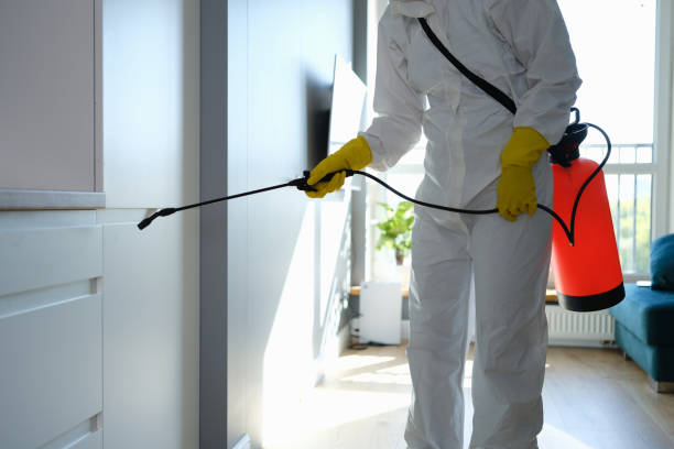 Trusted La Marque, TX Mold Removal Experts