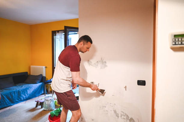 Best Home Mold Removal  in La Marque, TX